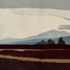 1417b_8dde62a45715a01_sm.jpeg