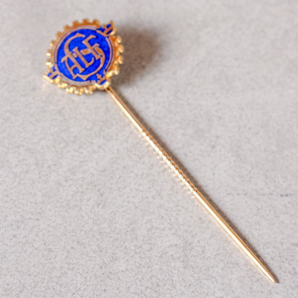 Pin, Guld 18k 3.0g, ädelstenar