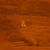 17j_8ddbbc5427971d6_sm.jpeg