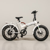 Elcykel Rawbike 16" 7vxl