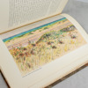 Bok, "Gotska Sandön", Albert Engström, första upplagan, år 1926