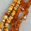 Halsband, 2st, Bärnsten