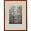 Oskar Bergman (1879-1963), Björkskog, etsning