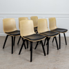 Stolar, 6st, Naver Collection, "Tulip", Danmark