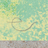 Edgar Mathias Saving (1970-), "Fågel", färglitografi, signerad, numrerad 