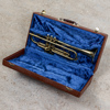 Trumpet, mässing, i case