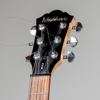 Elgitarr, Washburn, W114