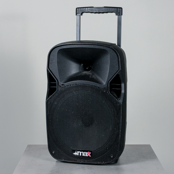 Högtalare, MAX P12BT