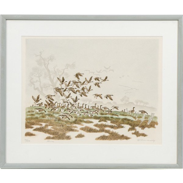 Gunnar Brusewitz, gäss, litografi, signerad