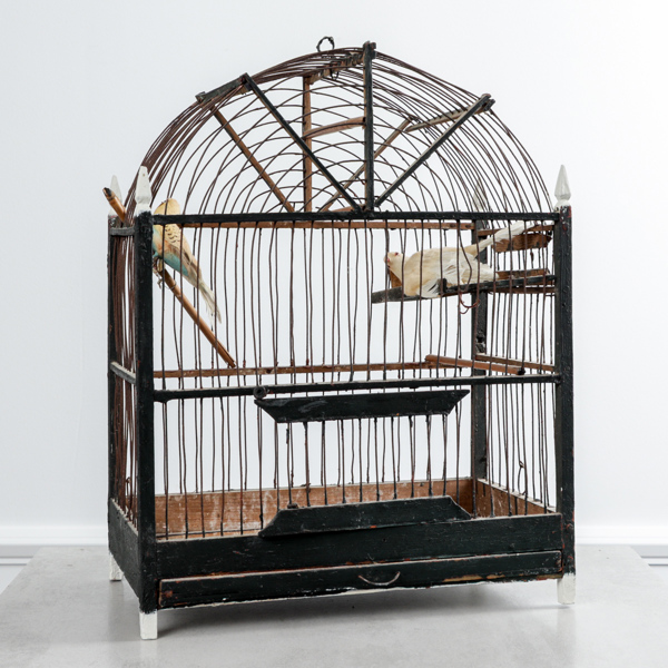 Fågelbur, 1800-tal