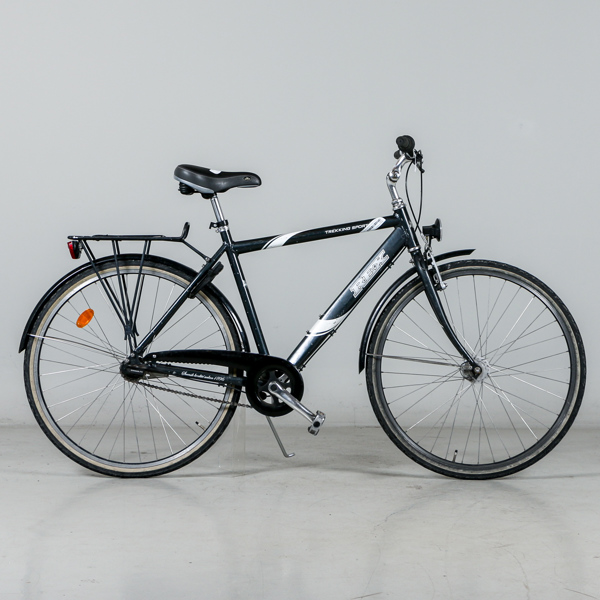 Cykel Rex Trekking Sport 5 28" 5vxl